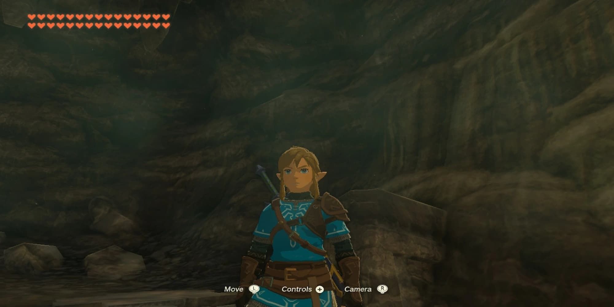 Link In The Intro With Maximum Hearts