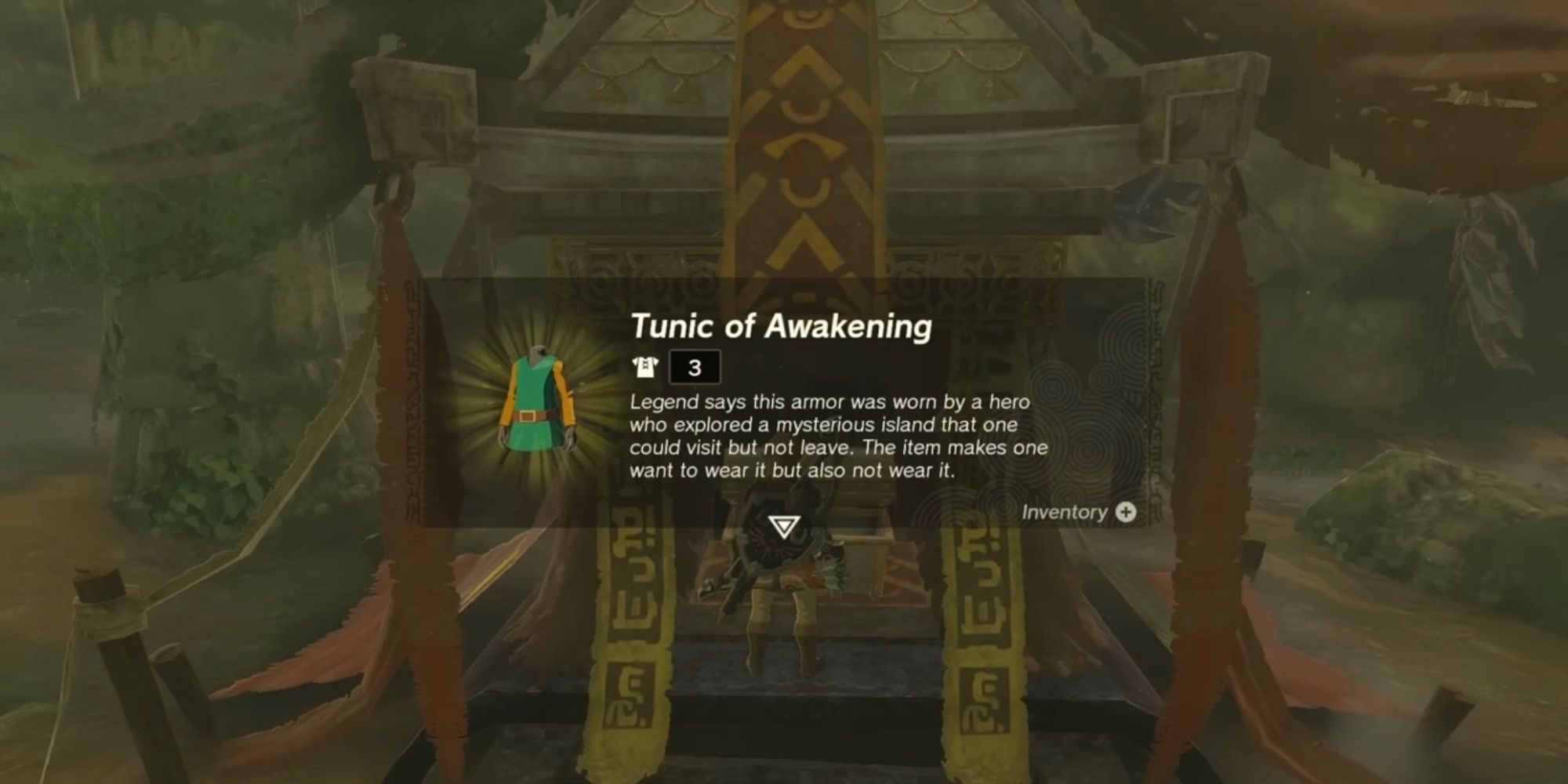 The Legend of Zelda Tears of the Kingdom Awakening Tunic 