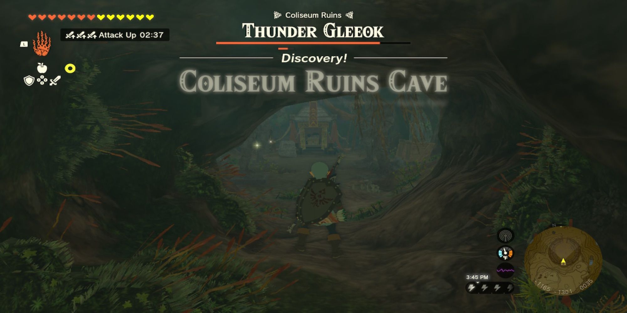 The Legend of Zelda Tears of the Kingdom Awakening Trouser cave