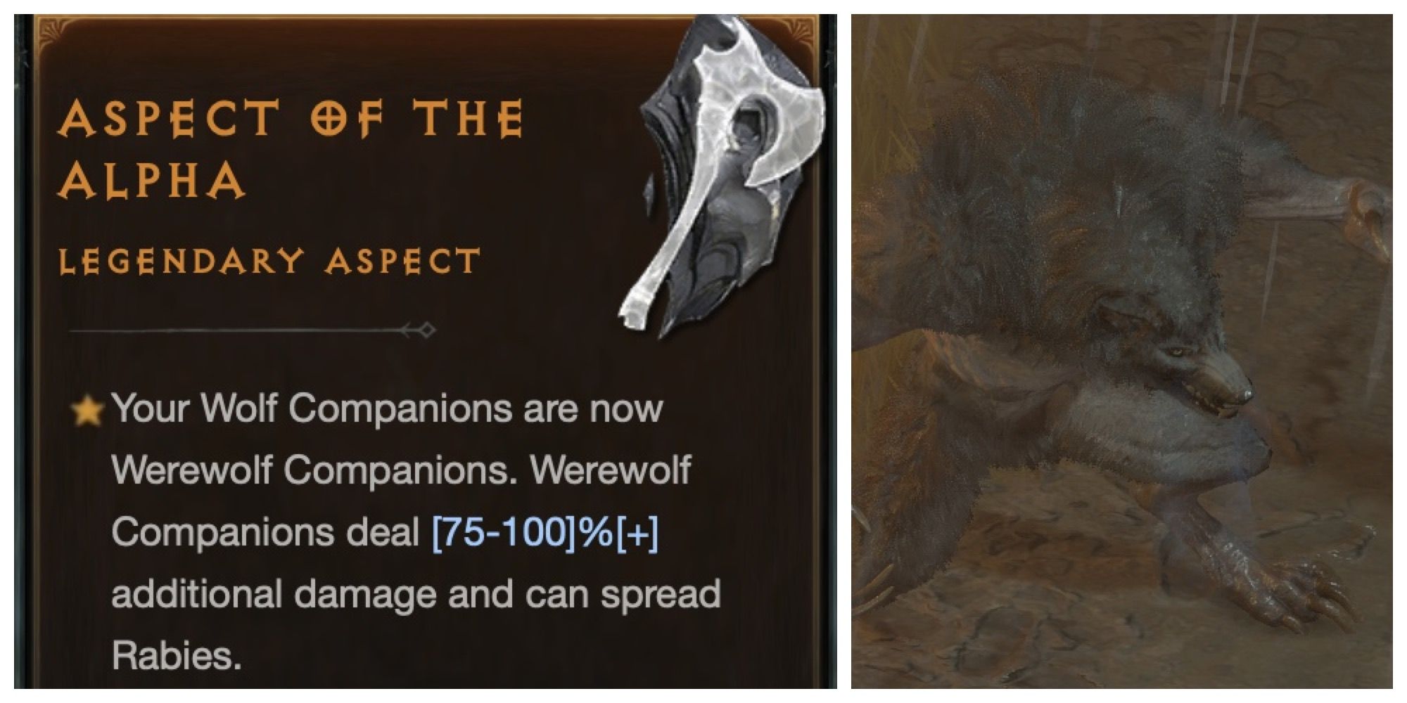 D4 Aspect of the Alpha details and stats displayed next to an Alpha Werewolf